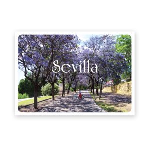 C-8012 Jacarandas en flor