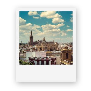 C-9000 Vista de La Catedral